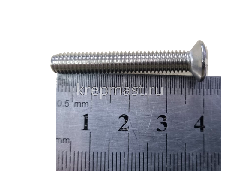 Е10 Винт нерж. 6х40мм для сифона