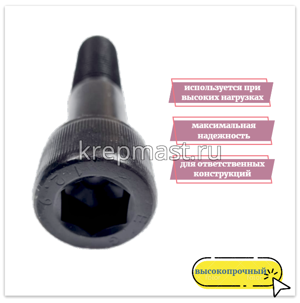 Винт с внутр.шестигранником 24 х 110 черный кл.пр.12,9 н/р DIN 912