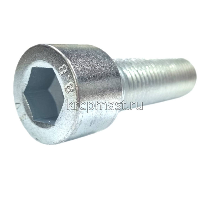Винт с внутр.шестигранником 24