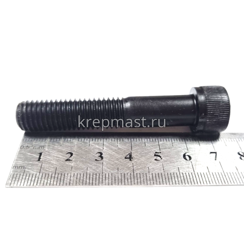 Винт с внутр.шестигранником 12 х 65 черный кл.пр.12,9 н/р DIN 912