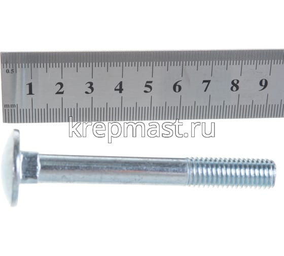 Болт мебельный 10х 80 DIN 603