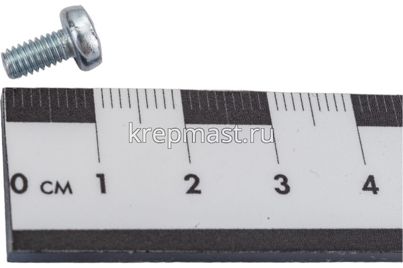 Винт п/цил 4,0х 8 DIN 7985
